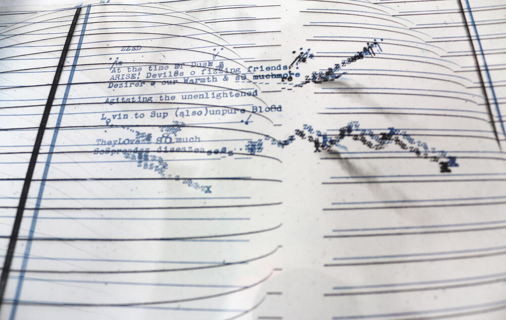 Black &amp; Blue, Artists&#39; Book, page 8, edition of 1. Text and imagery via cyanotype printing on paper. Pages have additional acetate overlays with inkjet graphics. 48 x 30cm. 2010.