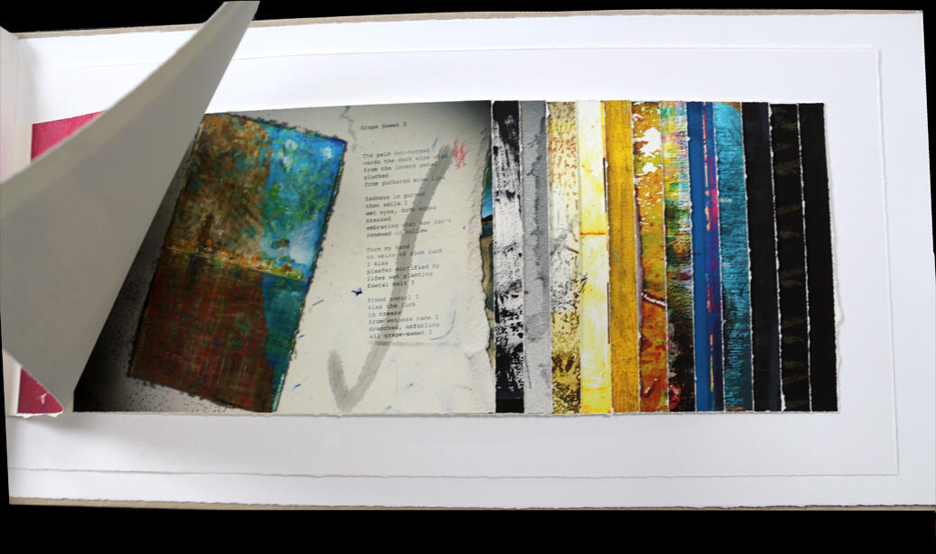 Moments of Po, edition of 1. laser printed imagery and text on 300gsm arches rag paper. 68 x 34cm. 2009.