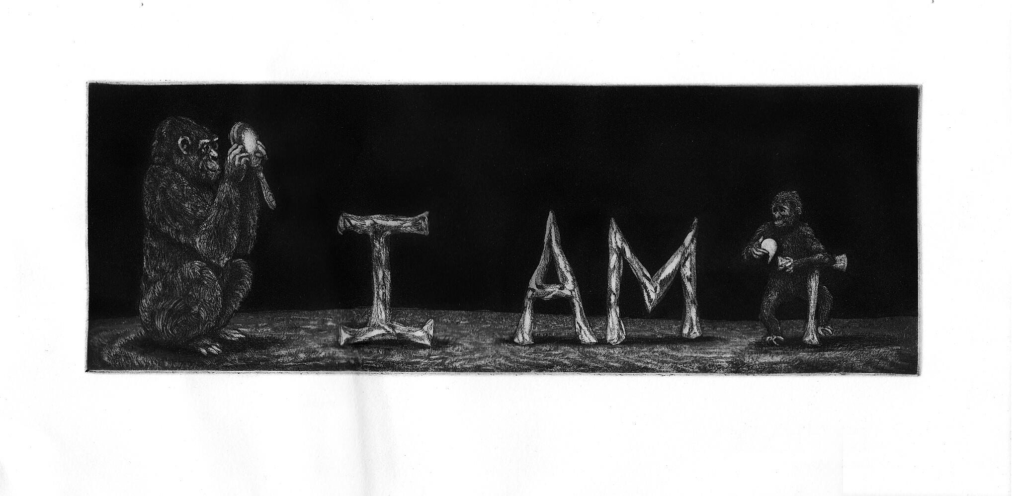 I Am Not (Abbreviated), etching (hard ground, soft ground, aquatint, burnishing) paper size: 35x19cm, edition #14, 2014