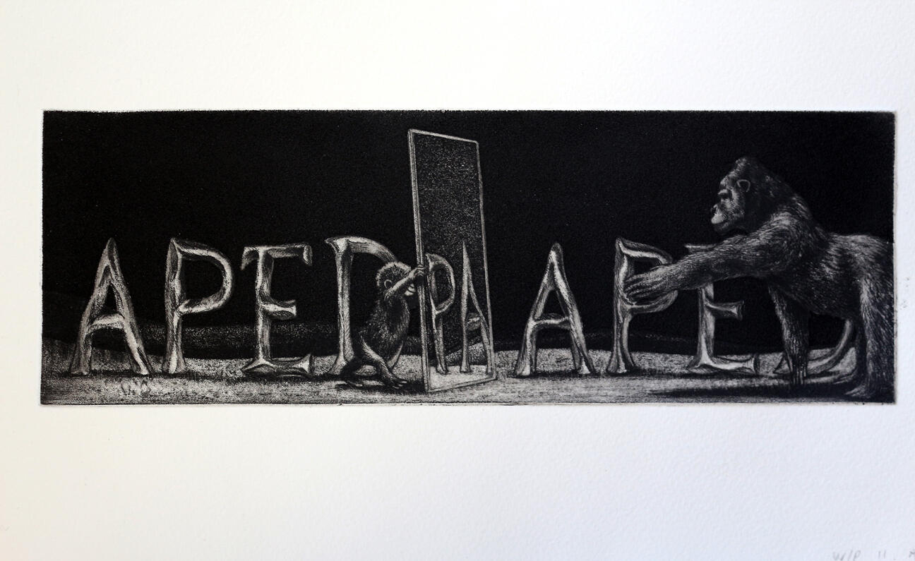 Aped, etching (hard ground, soft ground, aquatint, burnishing) paper size: 35x19cm, edition #14, 2014