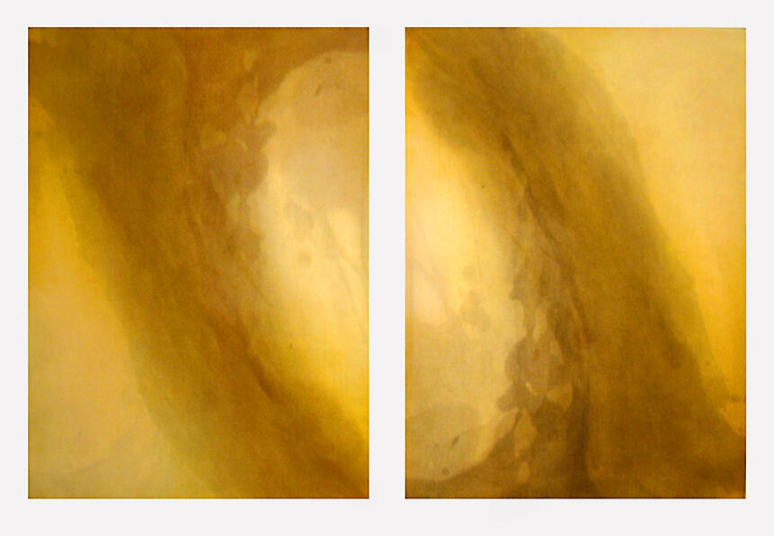 Lament, diptych, etching (aquatint and spit bite) each panel 76x56cm, edition 1, 2010